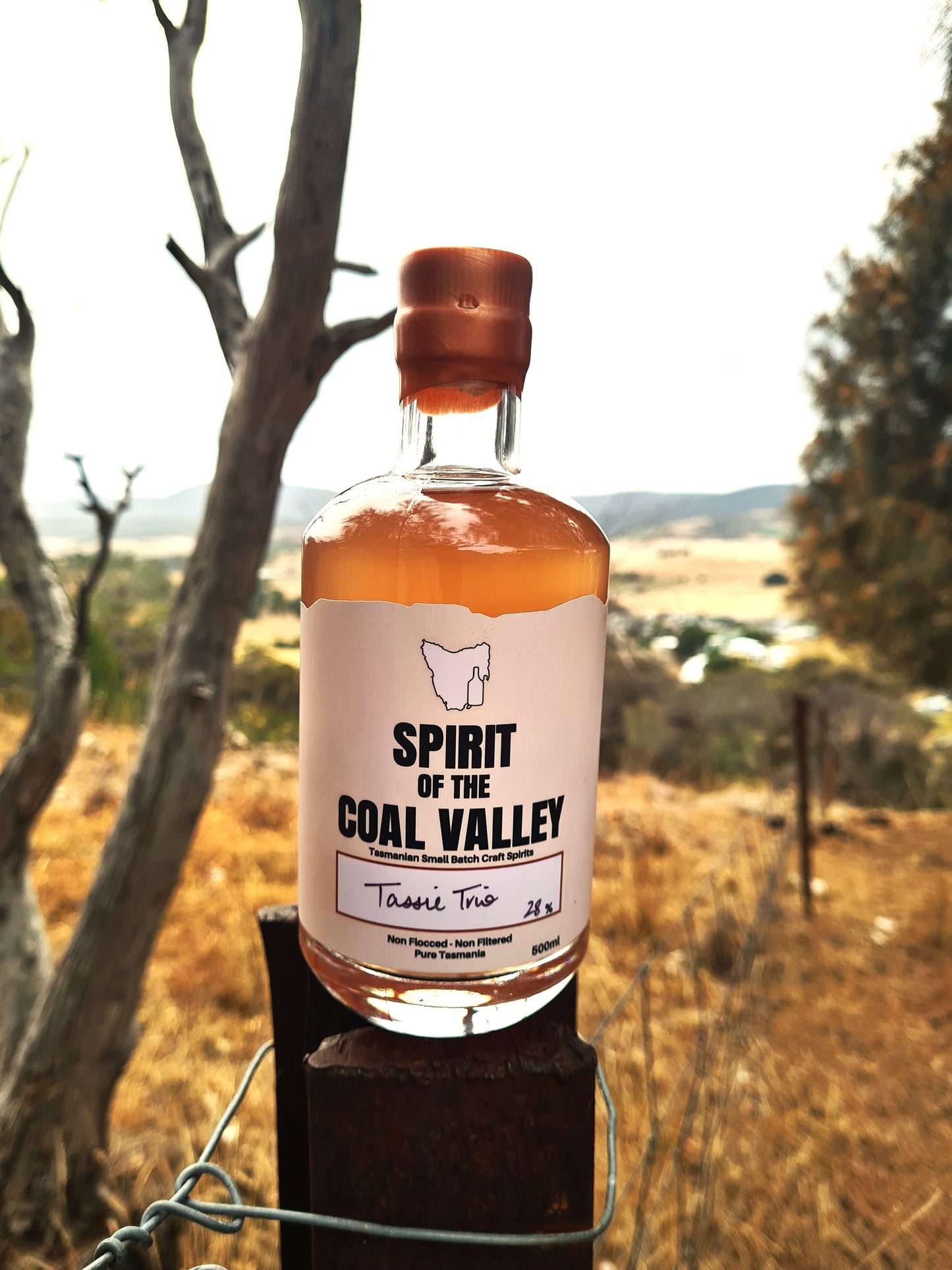 Spirit of the Coal Valley | Tassie Trio